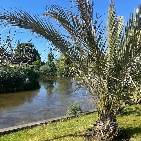 בקתה Unique 22 Min From Amsterdam Cs *