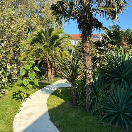 Unique 22 Min From Amsterdam Cs Westzaan