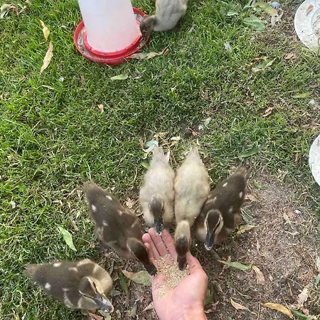 샬레 Unique 22 Min From Amsterdam Cs *