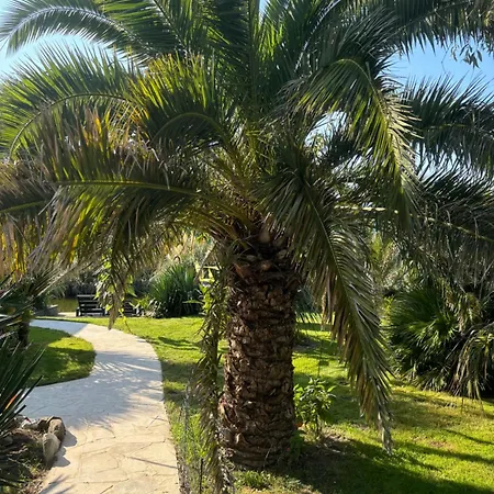 Unique 22 Min From Amsterdam Cs 샬레 *