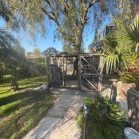 Unique 22 Min From Amsterdam Cs Westzaan