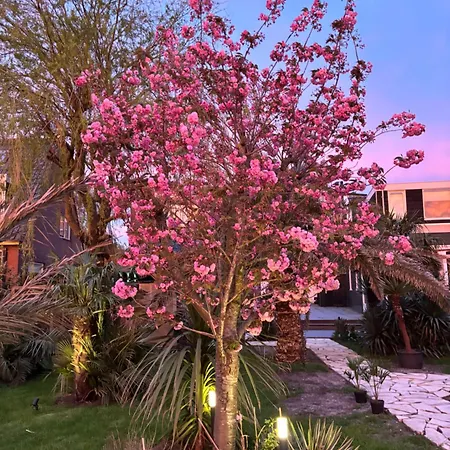 Unique 22 Min From Amsterdam Cs * Westzaan